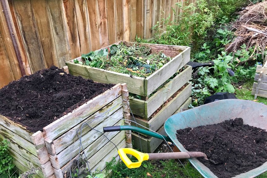 best ngo in hyderabad