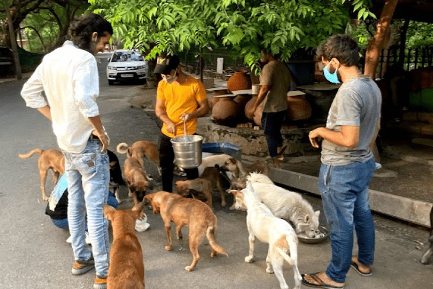 Dhruvanshu ngo organizations in hyderabad