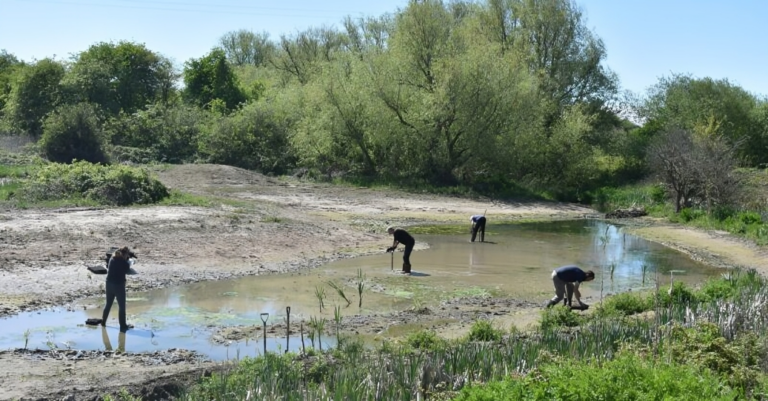 best ngo in hyderabad
