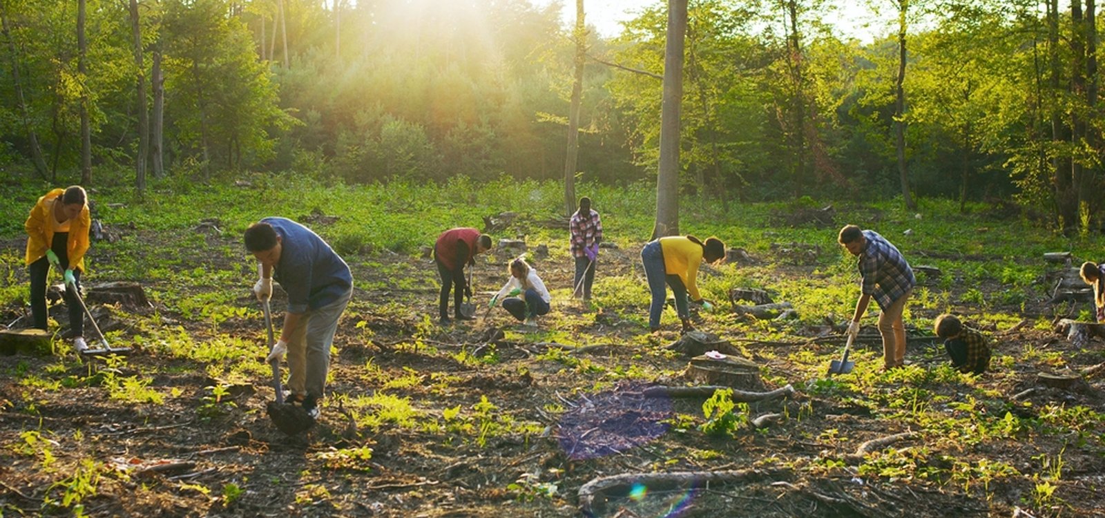 best ngo in hyderabad