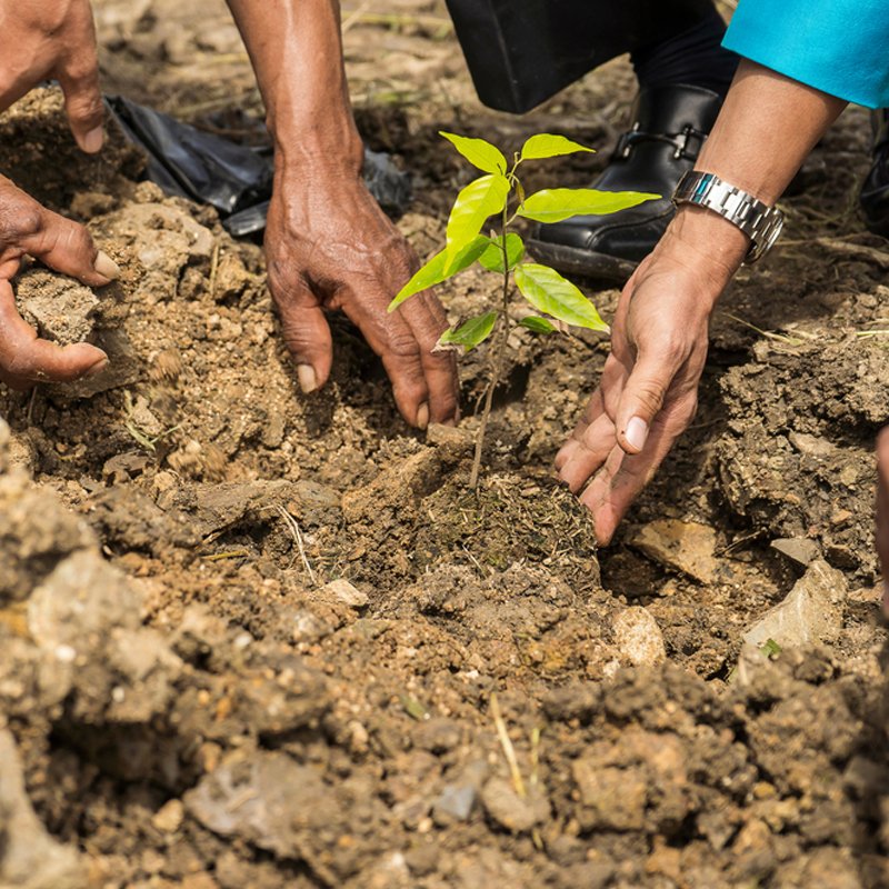 Dhruvanshu ngo organizations in hyderabad