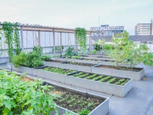 best ngo in hyderabad