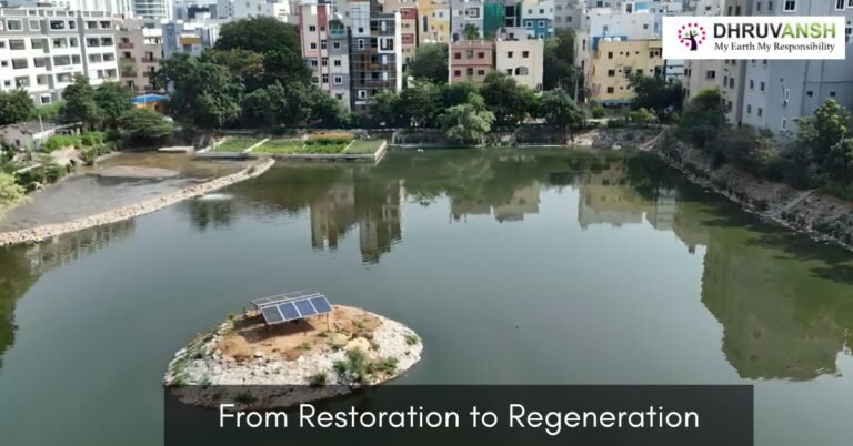 Restoring Lakes In Hyderabad