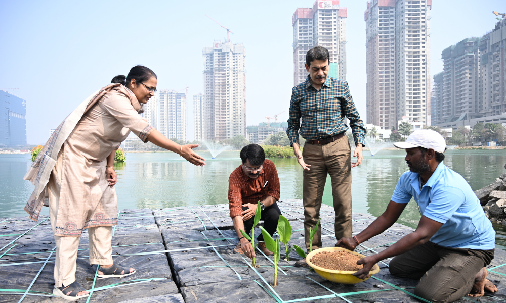 Ali Talab Lake (Hyder Nagar Cheruvu)-4 (5)