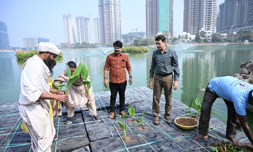 Ali Talab Lake (Hyder Nagar Cheruvu)-4 (8)