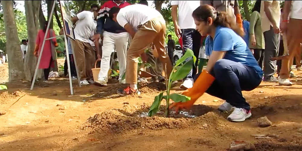 Pleasant Valley Lake ( plantation )- Dhruvansh Organazition 1